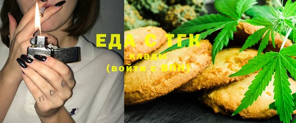дмт Алзамай