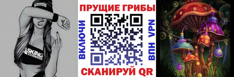 как найти закладки  Казань  Псилоцибиновые грибы MAGIC MUSHROOMS 