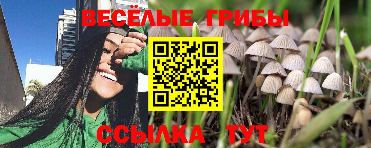 Галлюциногенные грибы Cubensis Казань