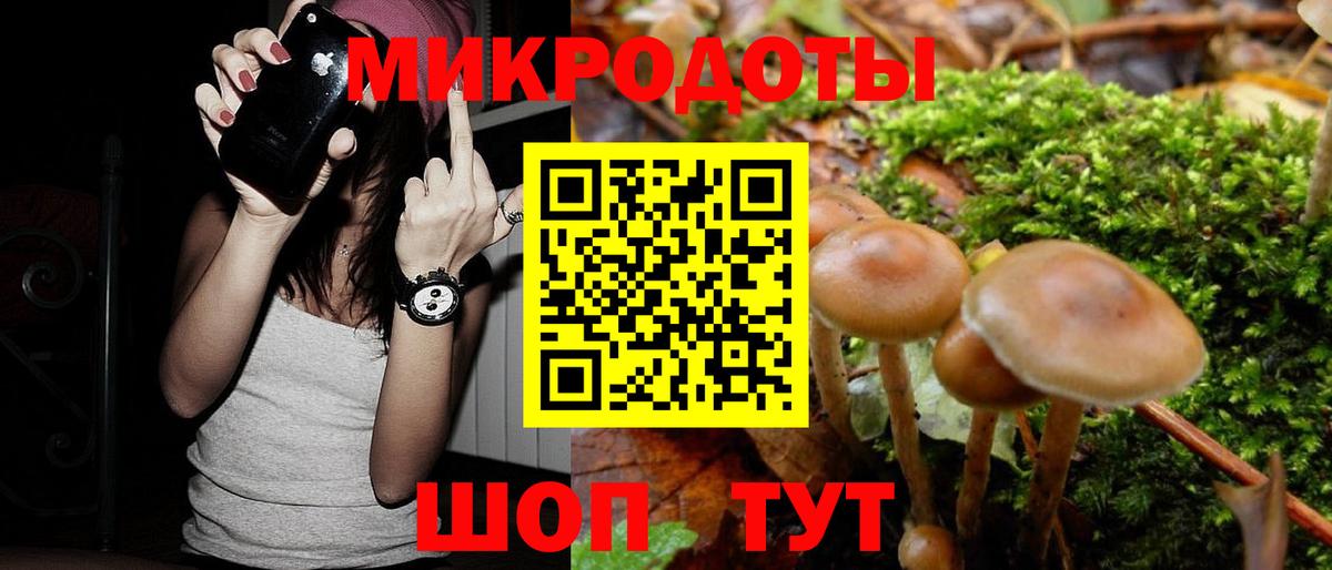 наркота  Галлюциногенные грибы Magic Shrooms  Казань  Вход с VPN  Галлюциногенные грибы Psilocybe 