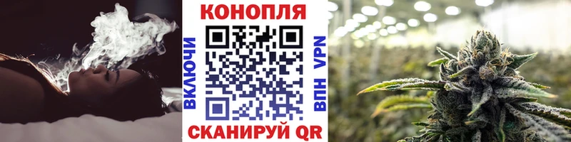 Канабис план Казань